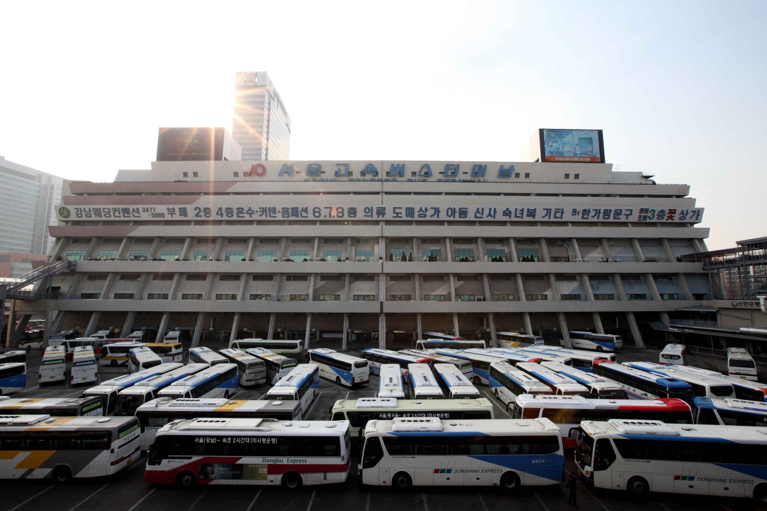 Buses at the Seoul Express Bus Terminal, part of Seoul transport with kids