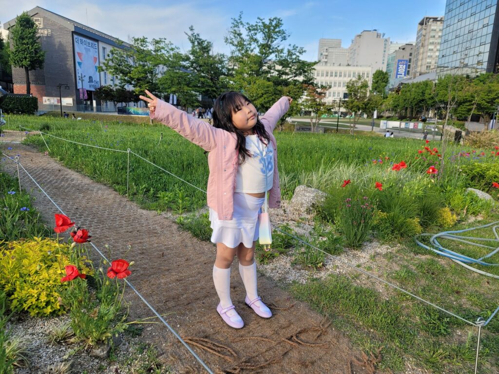 Wildflower meadow at Songhyeon Green Plaza in central Seoul with the Seoul Museum of Craft Art in the background